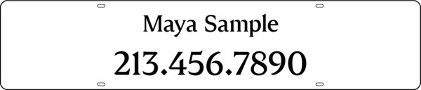 Reflective Steel Rider, 6"H X 28"W